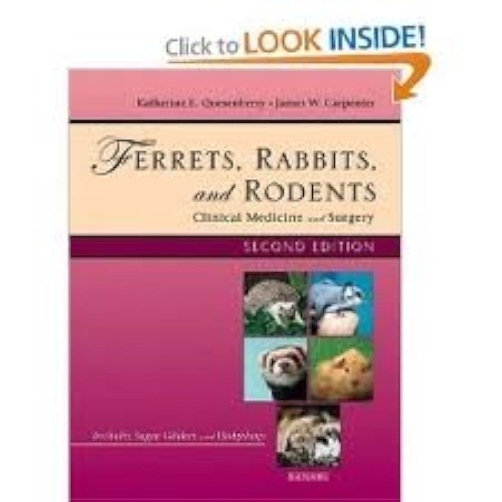 Amazon.co.jp: Ferrets, Rabbits and Rodents: Clinical Medicine and